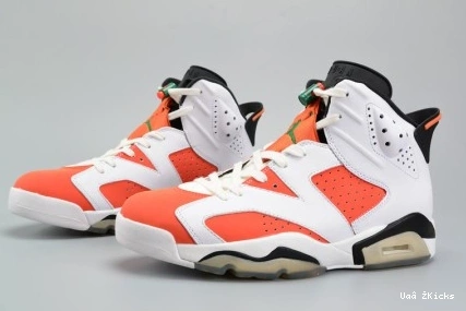 Like Retro 655 Breathable 4757 Mike Gatorade 6 384664- Jordan White 0710